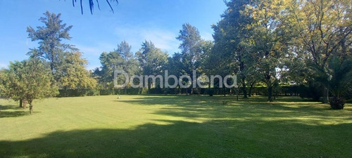 Imagen 7 de 30 de Casa Quinta En Venta - Colectora Acceso Oeste - Francisco Álvarez - Moreno, G.b.a. Zona Oeste