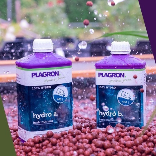 Hydro A+b 1 Lts Plagron Cultivos Hidropónicos Y Aeropónicos