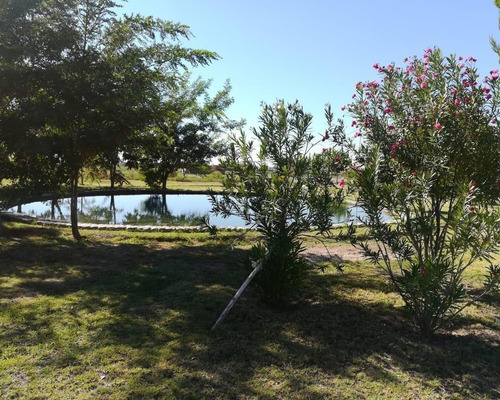 Imagen 3 de 10 de Lote Beltran Las Margaritas $10.000.-