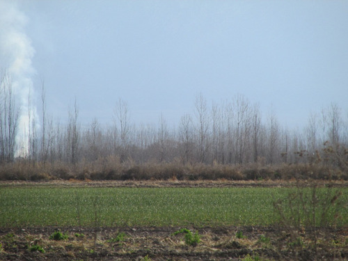 Imagen 3 de 4 de Campo En Venta Valle De Uco San Carlos Mendoza