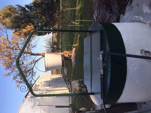 Imagen 3 de 14 de Campo Con Casas Y Galpones