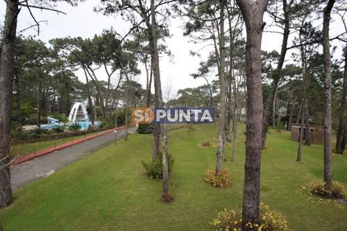Imagen 7 de 17 de Amplio Con Vista A Jardín