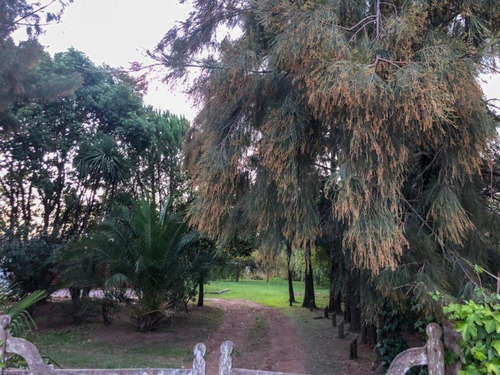 Casa Quinta 3000 M2. Calle Dantas. Partido De Gral Paz. Ranchos. Retasado