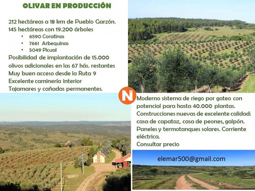 - Ref: 216222