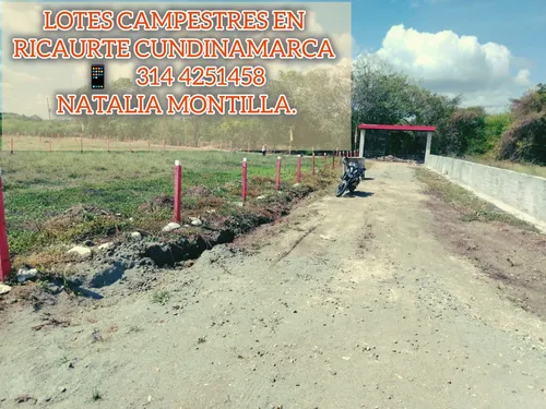 Venta De Lotes Planos En Ricaurte Cundinamarca.