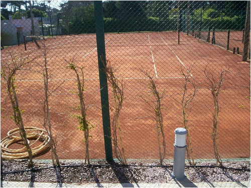 Imagen 19 de 30 de Apartamento A La Venta Zona Roosevelt Con Amenities