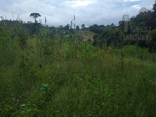 Imagem 9 de 14 de Cod 5971 - Linda Área Do Lado Da Estrada Vicinal - 5971