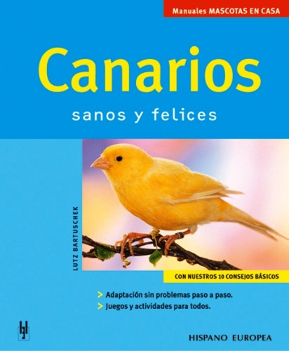 Canarios . Sanos Y Felices