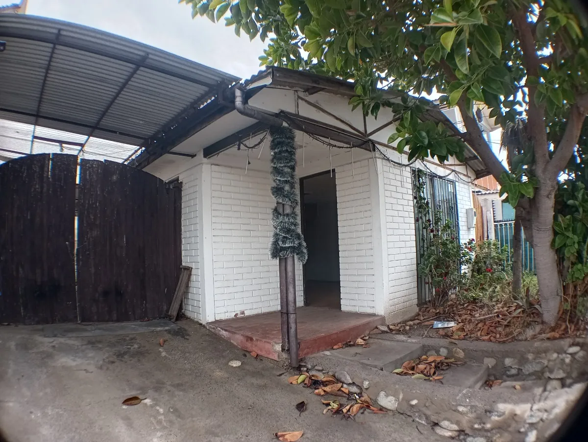 Imagen 1 de 23 de Oportunidad El Sauce: Casa Para Remodelar Con Gran Terreno