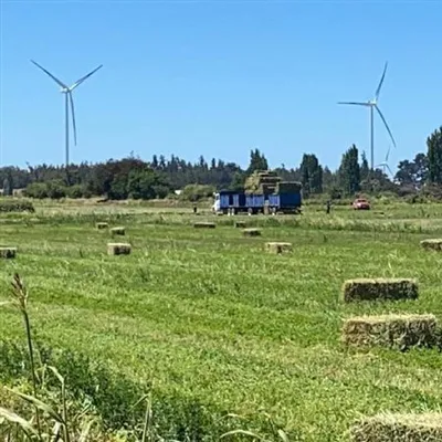 Agrícola en venta