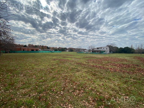 Venta Lote Terreno Pilar Los Alcanfores