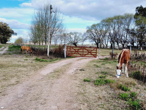 Imagen 24 de 24 de Venta De Campo De 2 Hectáreas En Guernica