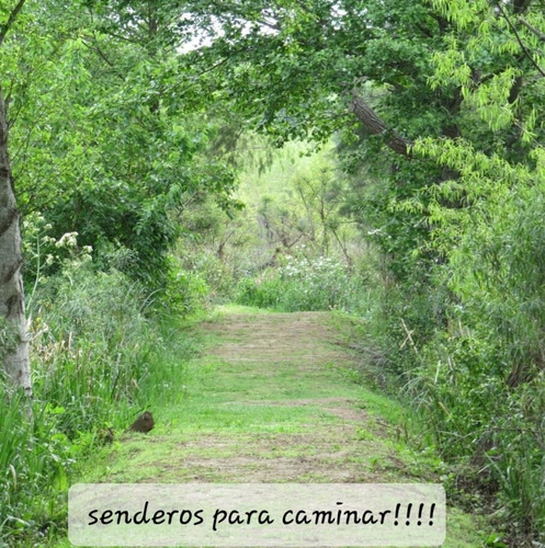 Imagen 15 de 22 de Alquiler Temporada Cabaña En La Isla Del Delta Río Espera