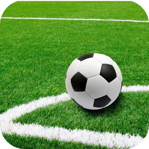 Imagen 2 de 10 de Cesped Sintetico Blanco 20mm Cancha Futbol Cesped Premium