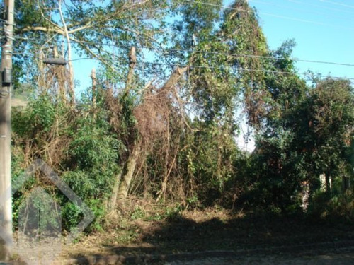 Imagem 2 de 3 de Terreno - Teresopolis - Ref: 129196 - V-129196