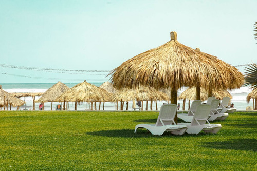 Departamento Pet Friendly Amueblado, En Planta Baja A Unos Pasos De La Playa.