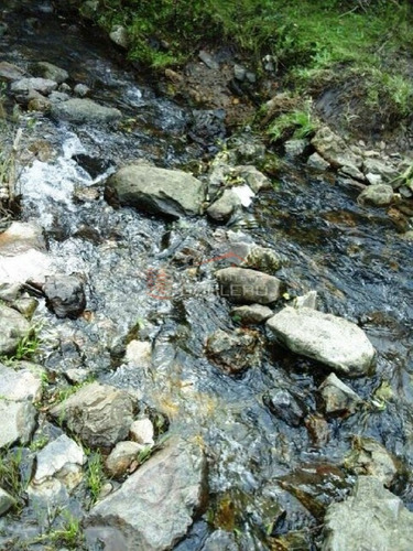 Campo En Venta En Uruguay, Lavalleja A Pocos Km De Minas- Ref: 22035