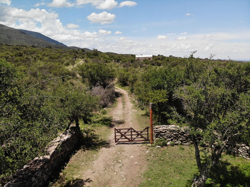 Venta De Lotes En Carpintería El Sendero
