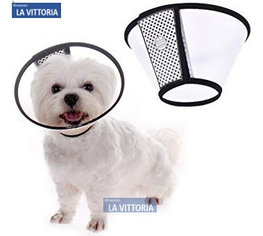 Imagen 2 de 4 de Collar Ajustable Anti-mordeduras Con Belcro Super Resistente
