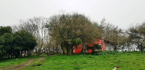 Imagen 17 de 21 de Campo En General Madariaga-
