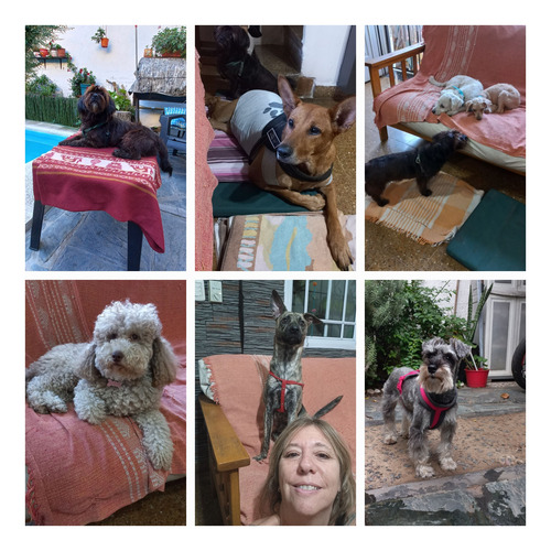 Guardería Canina. Mataderos. Caba.