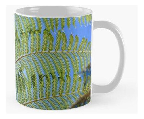 Taza Las Plantas Y Sus Formas Calidad Premium