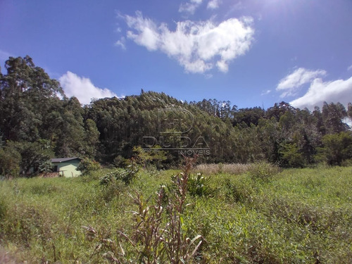 Imagem 9 de 10 de Terreno - Vila Maria - Ref: 23543 - V-23543