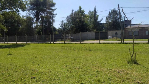 Imagen 7 de 8 de 14 Entre 90 Y 93 - Lote En Venta - Villa Elvira
