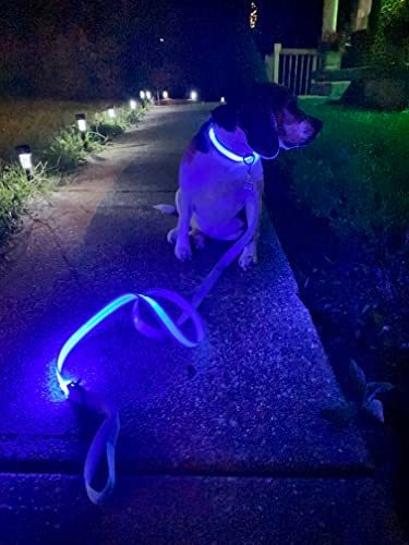 Wooftaste Light Up Dog Collar And Leash For Night, 57zpa