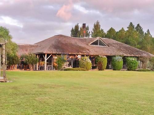 Imagen 2 de 26 de En Venta Casa En Chacra El Quijote- La Barra