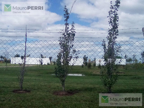 Imagen 3 de 11 de Terreno - Countries/b.cerrado (la Plata)