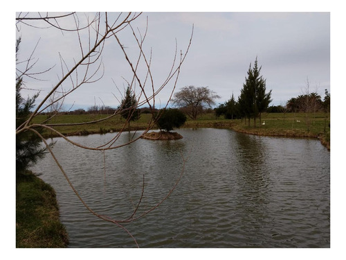Imagen 14 de 27 de Campo Venta 3 Cabañas Pileta, Laguna, Cancha De Fútbol, Arbolada -1.8 Hectáreas - Magdalena