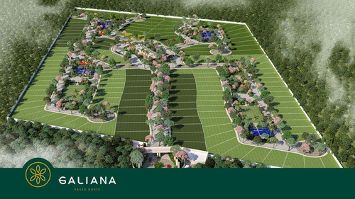 Imagen 6 de 13 de Terreno - Pueblo Cholul