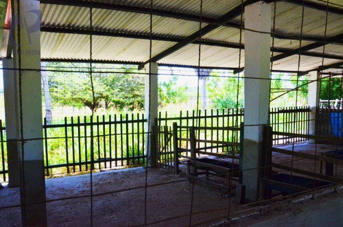 Imagem 14 de 22 de Sítio À Venda, 700000 M² Por R$ 900.000,00 - Rodeador - Pindoretama/ce - Si0001