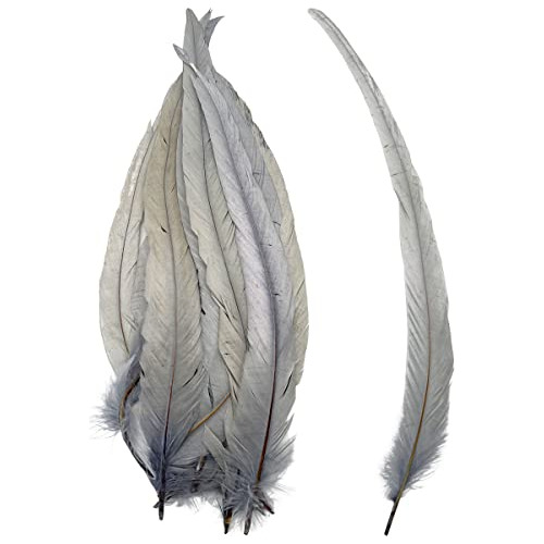 Plumas De Gallo Cola Coque Para Decoración (gris Plata)