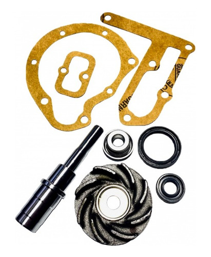 Kit Reparación Bomba De Agua Mercedes Benz 1517 Om 352  1170