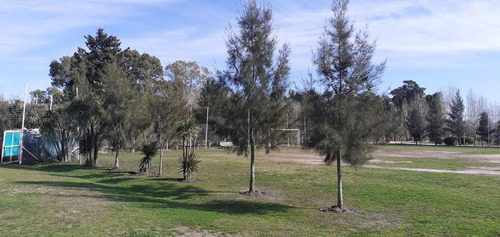 Casa Moderna Y Funcional En Domselaar Chico Venta