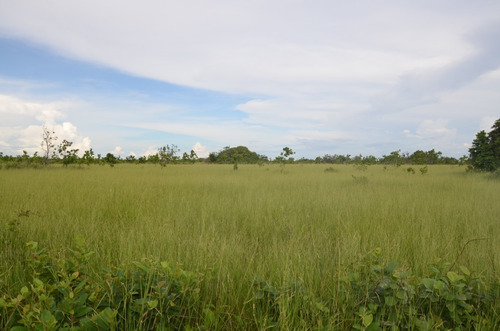 Imagen 24 de 28 de Se Vende Linda Finca En Oritupano