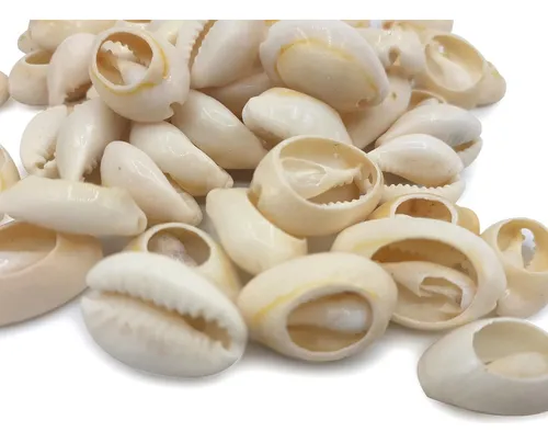 comprar Buzios Caracoles Partidos Accesorios Tobillera Bijou X 100gr