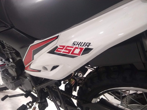 Imagen 16 de 16 de Motomel Skua 250 Base - Ahora18 $47.900