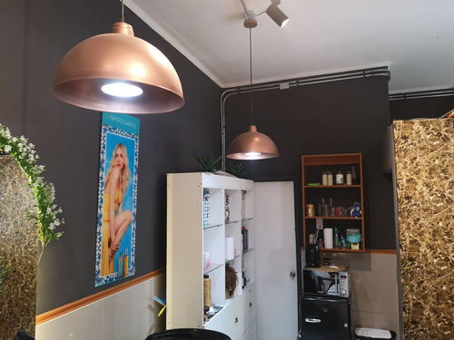 Muy Buen Local Comercial En Ñuñoa