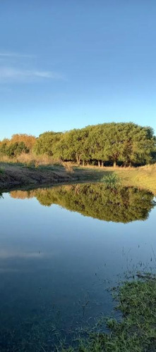 Imagen 8 de 13 de Chacra En Venta - 6ha - La Lucila Del Mar