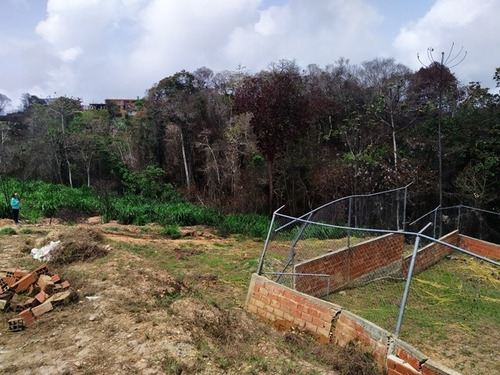 Imagen 3 de 14 de Venta De Dos Parcelas De Terreno Urb. Los Leones Llano Alto Carrizal