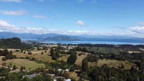 Gran Oportunidad//  Lago Puyehue (16921)