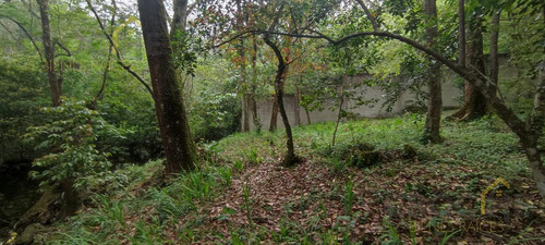 Terreno Enventa En Piedra De Agua En Jilotepec Veracruz