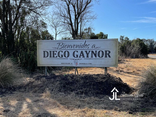 Imagen 3 de 27 de Campo A Tres Cuadras De La Estación De Tren De Diego Gaynor