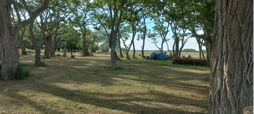 Campo En La Plata