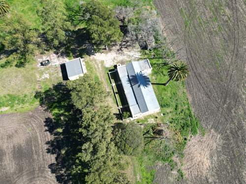 Chacra 5 Has, Colonia
