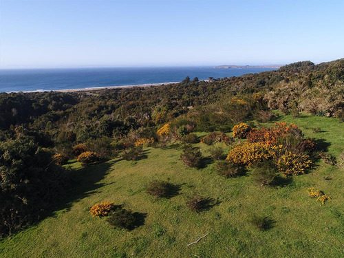 Chauman Sector Playa, Ancud, Chiloé, Región De Los Lagos