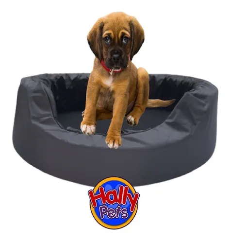 Camas para online perros pequeños mercadolibre